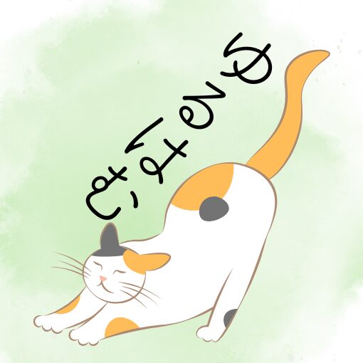 女性専用トータルボデイケアサロン|神奈川県藤沢市(横浜・東京出張|リンパドレナージュ・腸マッサージ)