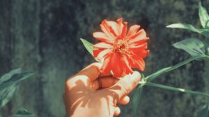 手のひらでオレンジの花をそっと持つ様子、自然光の中で咲く花と柔らかな影、自分の感覚ややりたいことに気づくきっかけを象徴するイメージ